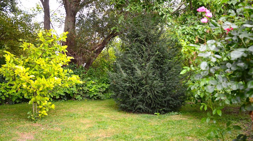 PREDANÉ. Murovaná trvalo obývateľná chata v Hamuliakove. – fotka 5